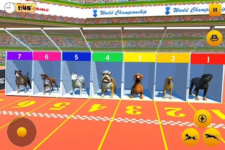 Cách Chơi Game Nhanh Đua Chó Sunwin Hiệu Quả Với Nhiều Kiểu Cược