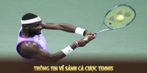 Tìm Hiểu Cá Cược Quần Vợt SunWin Chi Tiết Từ Cách Chơi Đến Kinh Nghiệm Thắng Lớn