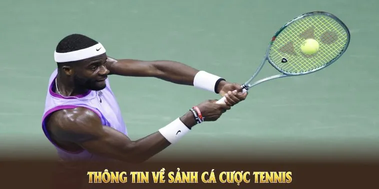 Tìm Hiểu Cá Cược Quần Vợt SunWin Chi Tiết Từ Cách Chơi Đến Kinh Nghiệm Thắng Lớn